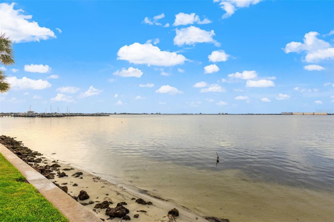 5541 Puerta Del Sol Boulevard S, Unit 412, Saint Petersburg, FL 33715 Photo