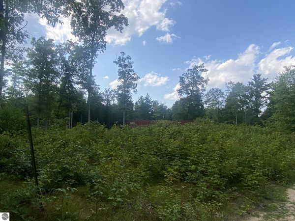 Emma Avenue S, Baldwin, MI 49304