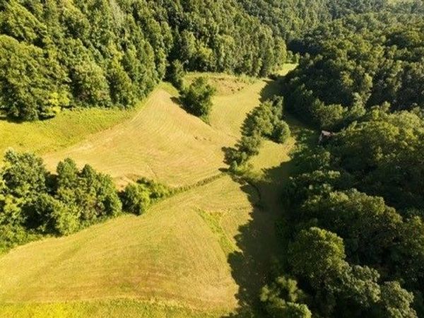 001 Mud Fork Road, Chloe, WV 25235