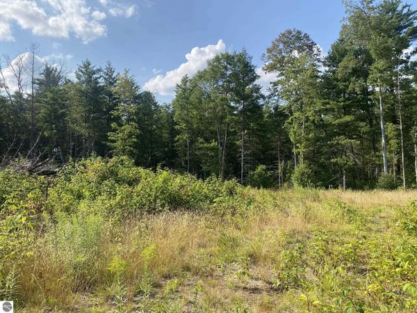 Emma Avenue S, Baldwin, MI 49304
