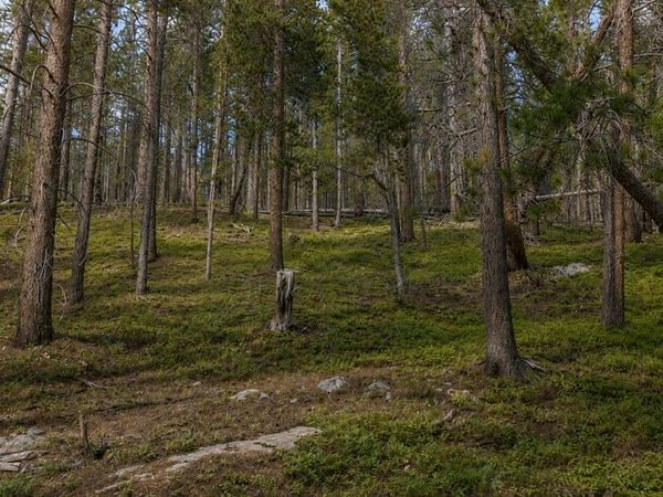 000 Steuart Road , Idaho Springs, CO 80452