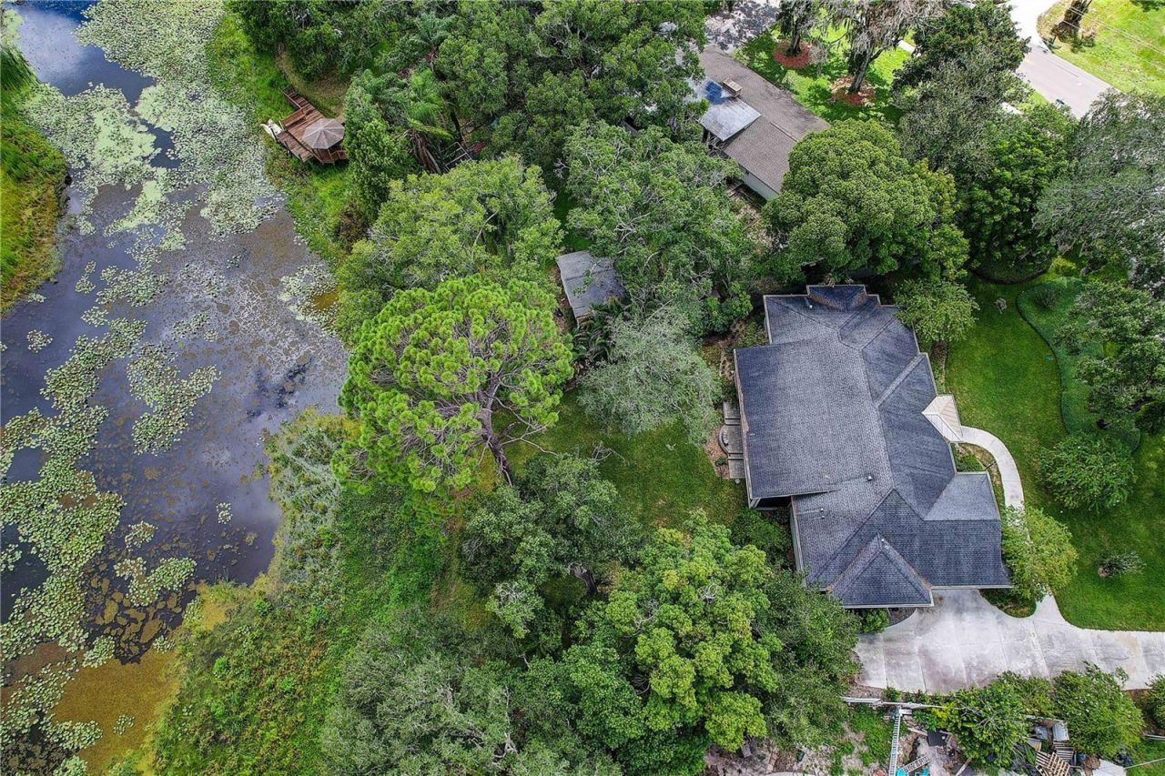 1508 Eckles Drive, Tampa, FL 33612 Photo