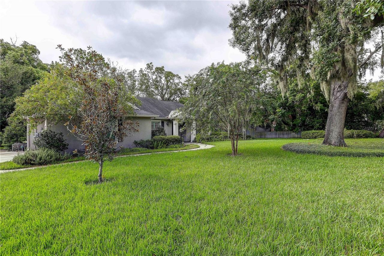 1508 Eckles Drive, Tampa, FL 33612 Photo