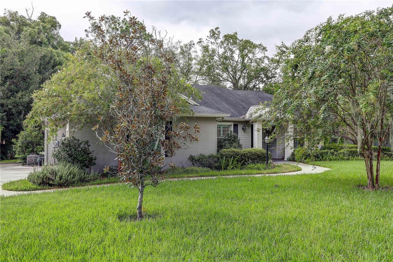 1508 Eckles Drive, Tampa, FL 33612 Photo