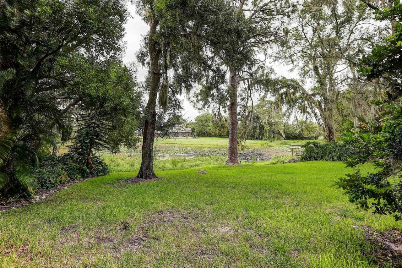 1508 Eckles Drive, Tampa, FL 33612 Photo