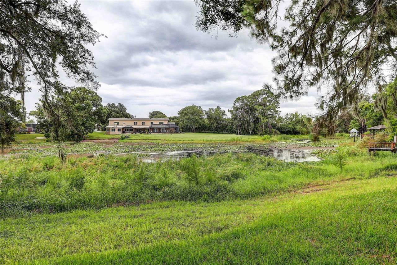 1508 Eckles Drive, Tampa, FL 33612 Photo