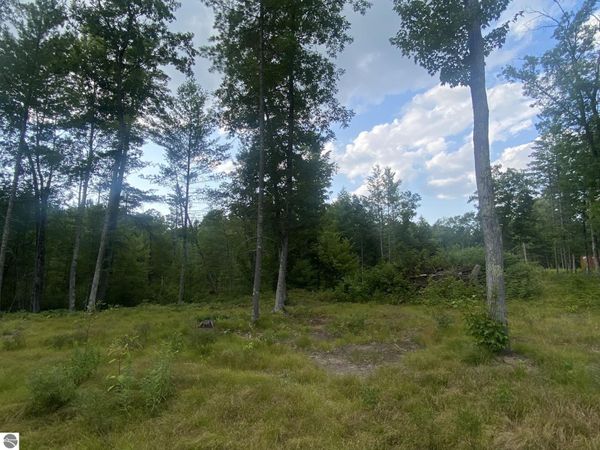 Emma Avenue S, Baldwin, MI 49304