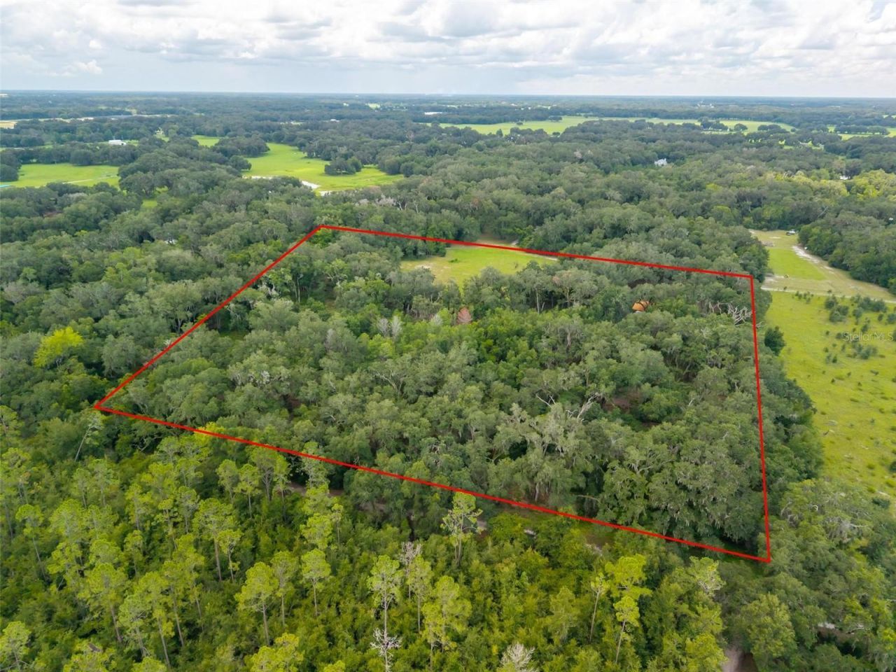 Se 14th Terrace, Bushnell, FL 33513 Photo