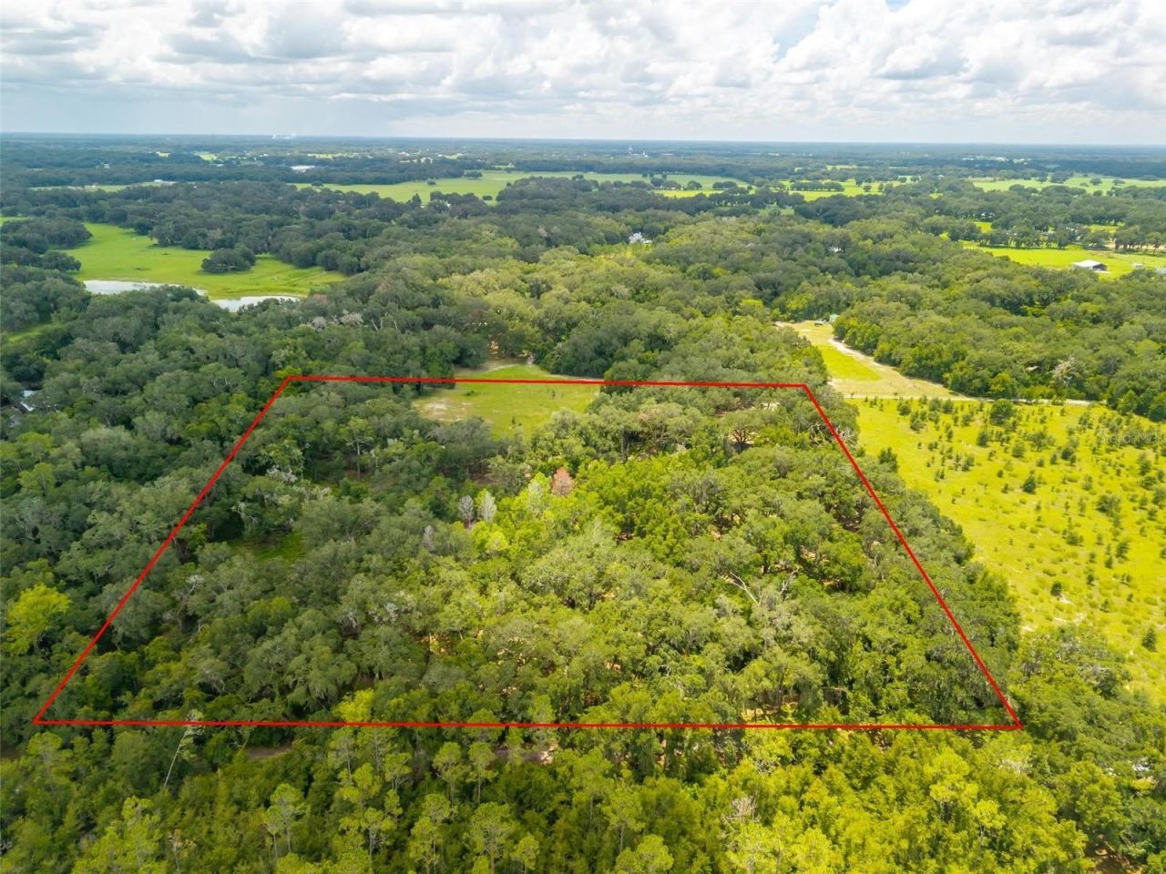 Se 14th Terrace, Bushnell, FL 33513 Photo