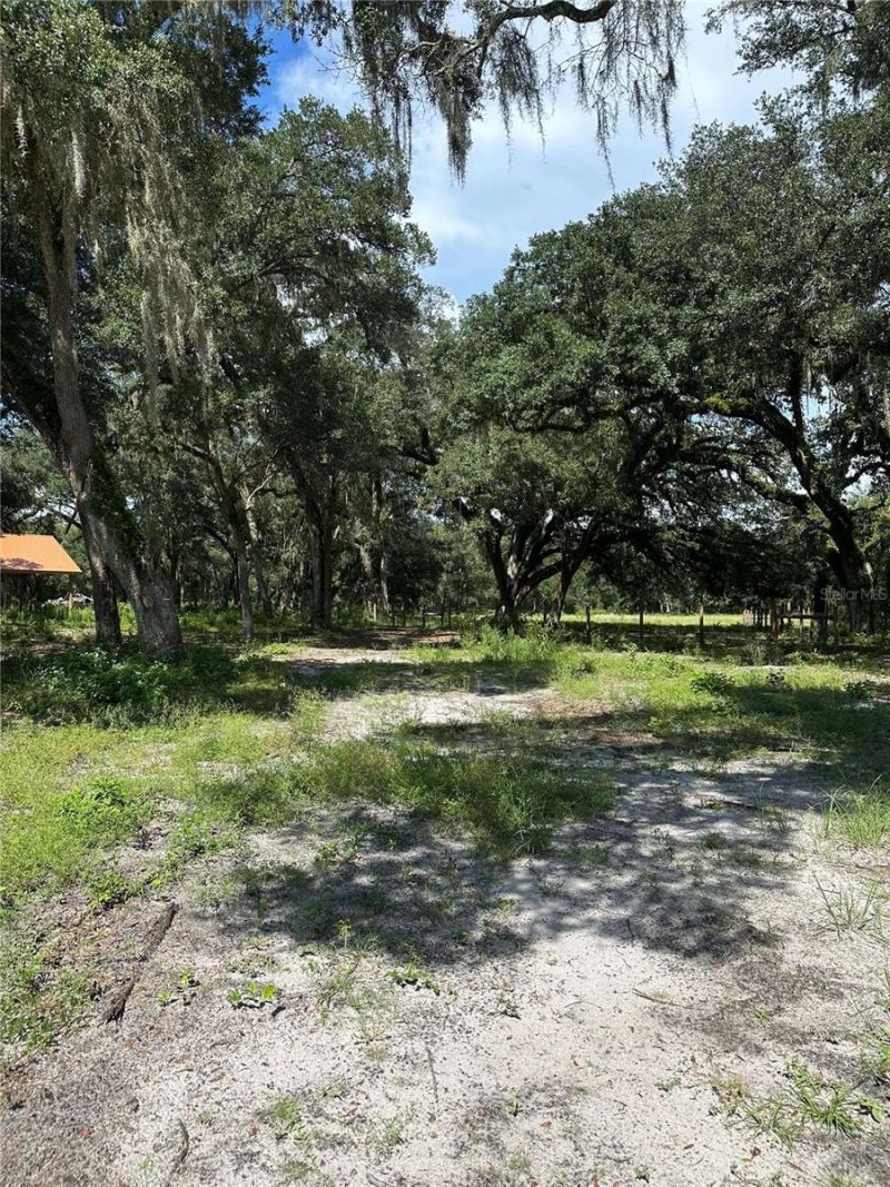 Se 14th Terrace, Bushnell, FL 33513 Photo