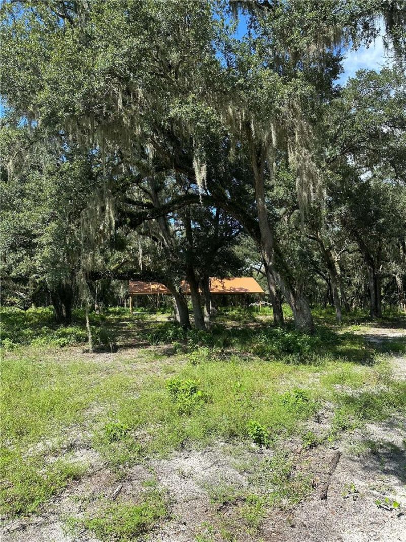 Se 14th Terrace, Bushnell, FL 33513 Photo