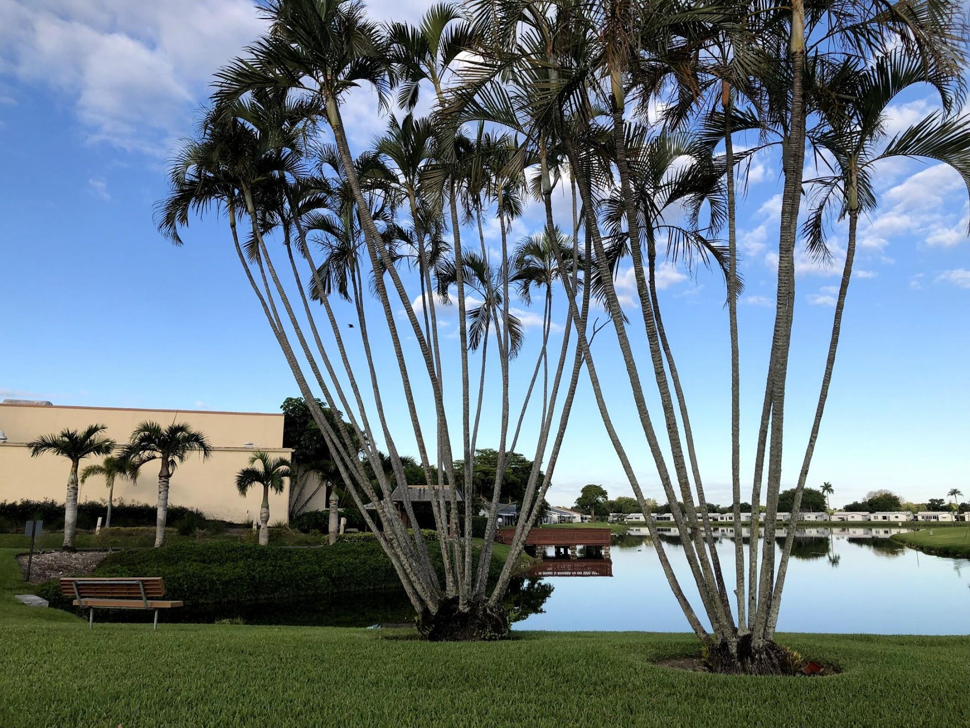 1331 W Campanelli Drive, Plantation, FL 33322 Photo