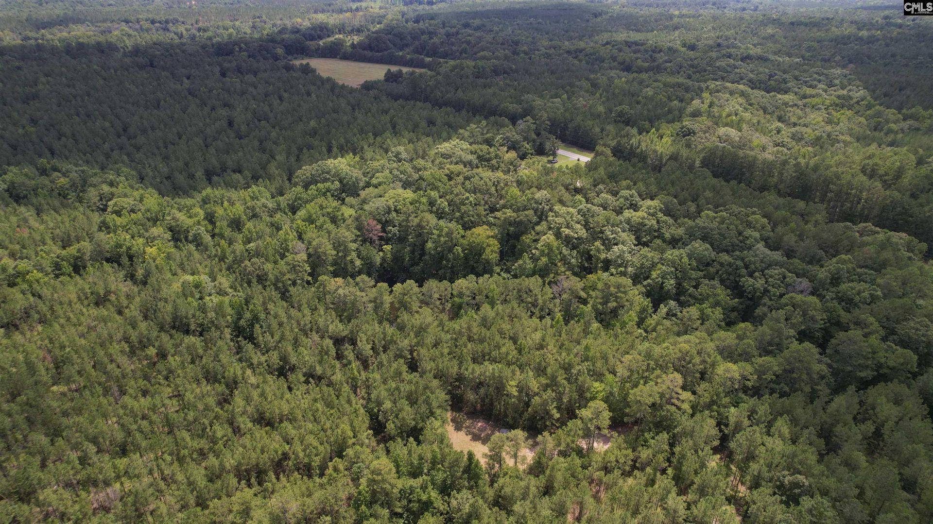 5540 State Hwy 215 North  Photo 59