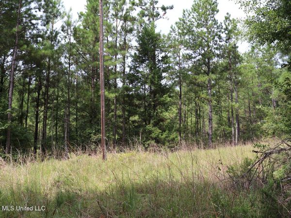 Sulphur Springs Road, Camden, MS 39045