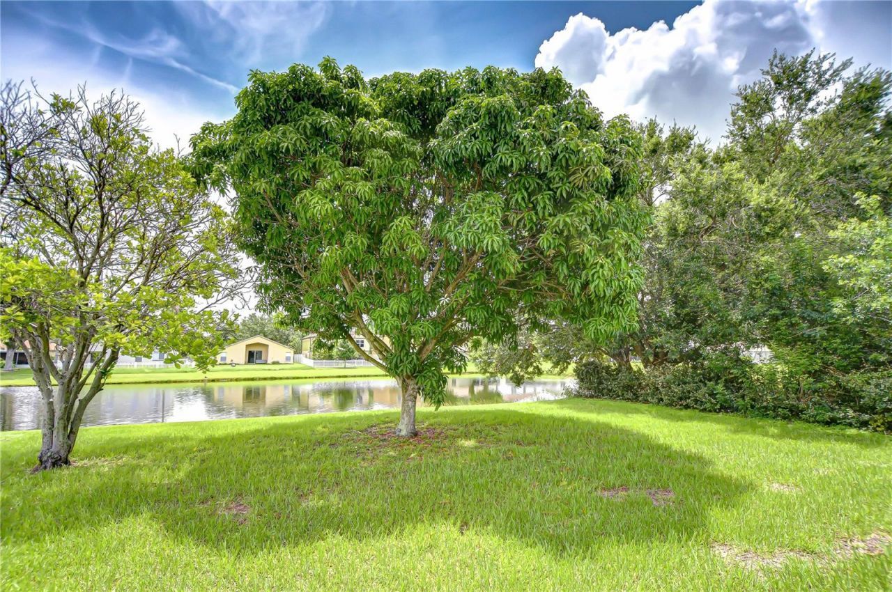 12928 Kings Lake Drive, Gibsonton, FL 33534 Photo