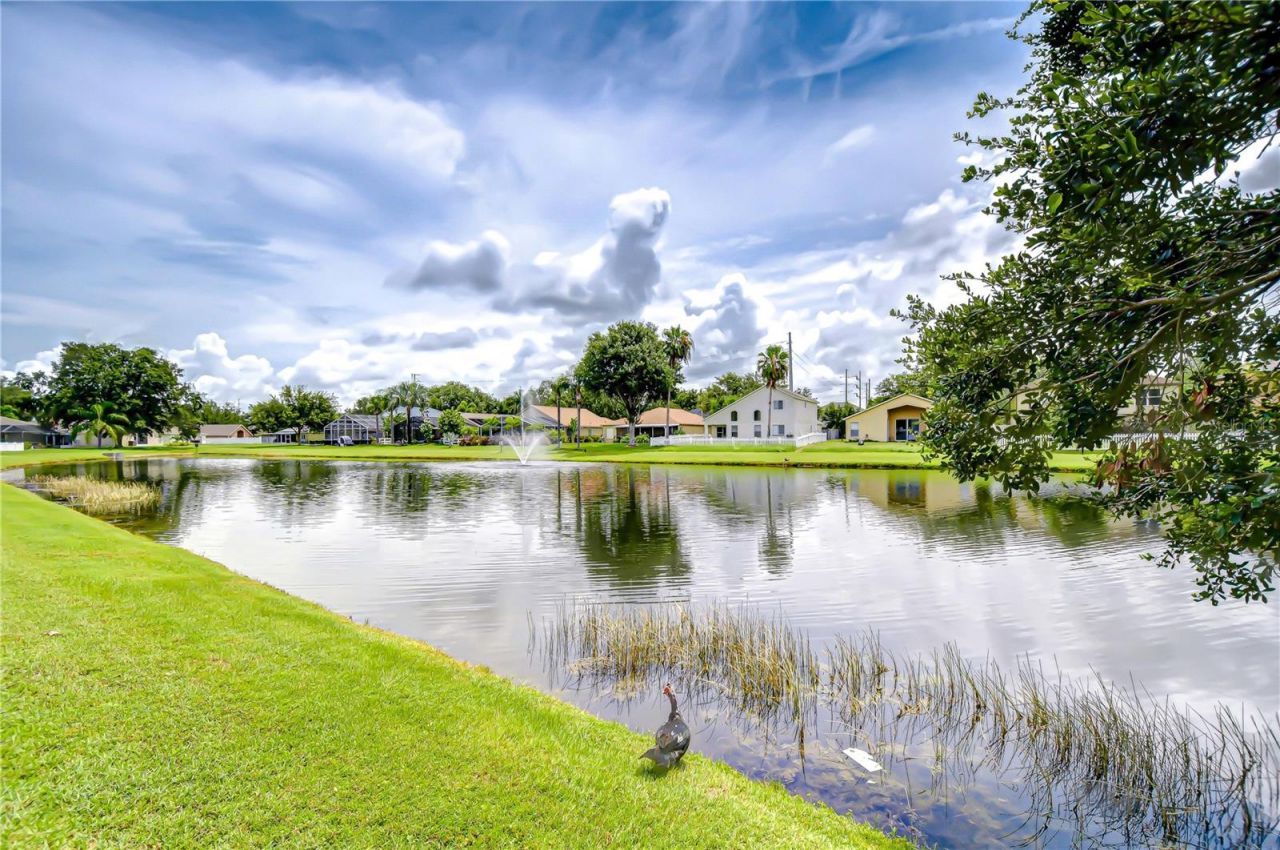 12928 Kings Lake Drive, Gibsonton, FL 33534 Photo