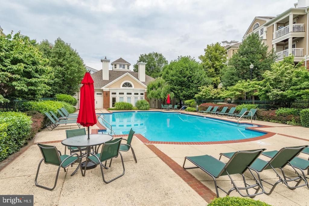 2204 Westcourt Lane, Unit 313, Herndon, VA 20170 Main Photo