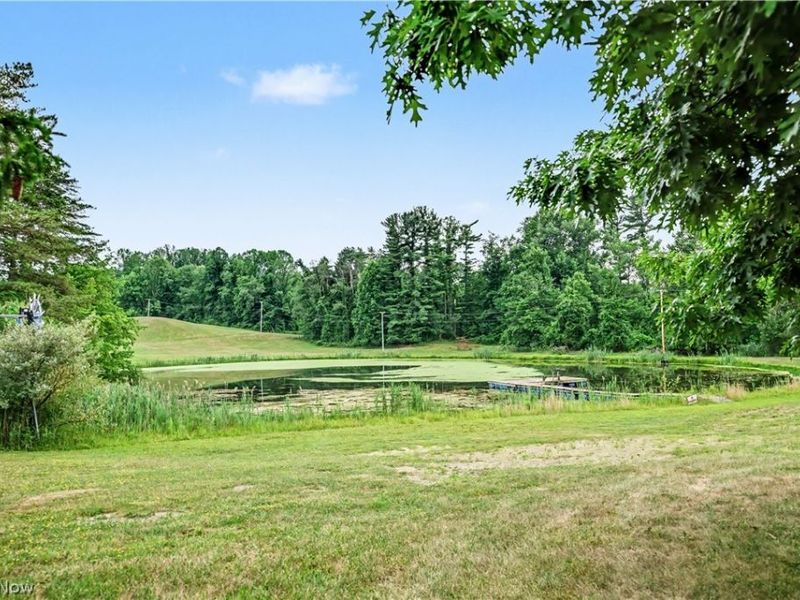 10036 Wilson Mills Road, Chardon, OH 44024 Photo 16
