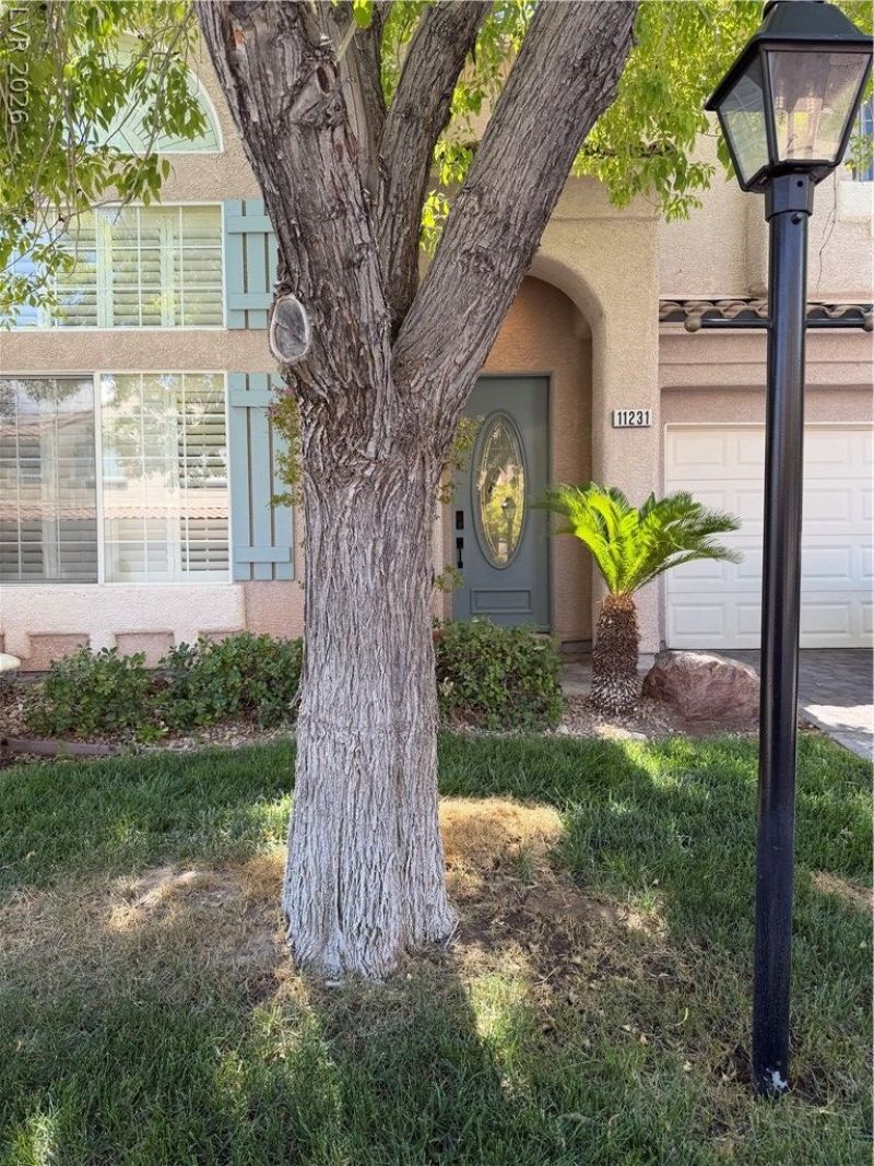11231 Playa Bonita Avenue, Las Vegas, NV 89138 Main Photo