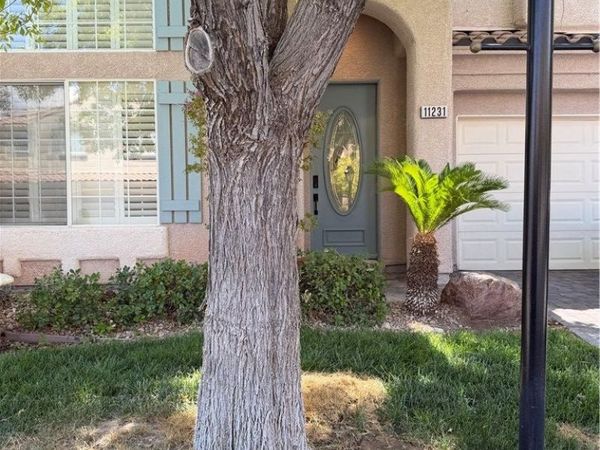 11231 Playa Bonita Avenue, Las Vegas, NV 89138