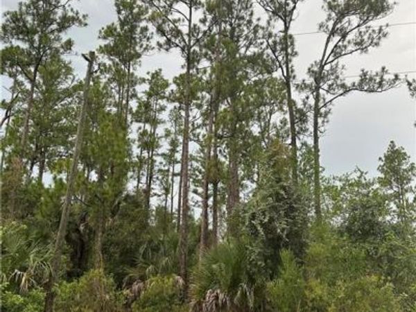 373/375 Greenbriar BLVD, LEHIGH ACRES, FL 33972