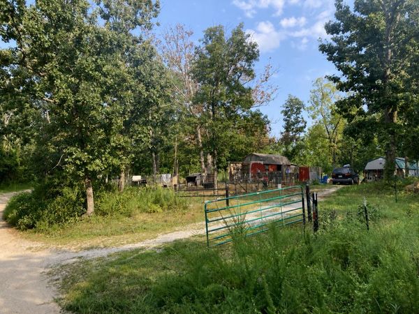 17530 Highway Y , Unit Lot M, Elk Creek, MO 65464