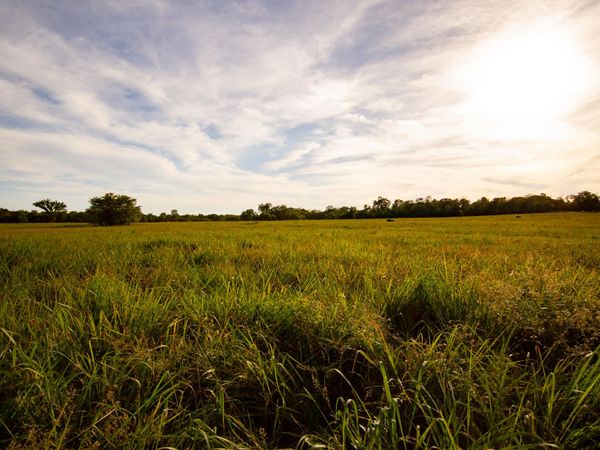 000 E 1570 Road , Jerico Springs, MO 64756
