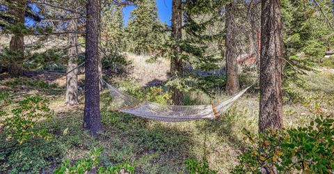 1515 Juniper Mountain Road, Alpine Meadows, CA 96146 Photo
