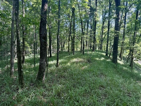 00 Hardy Rd, Grenada, MS 38901