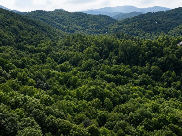 S Clear Fork Rd, Sevierville, TN 37862