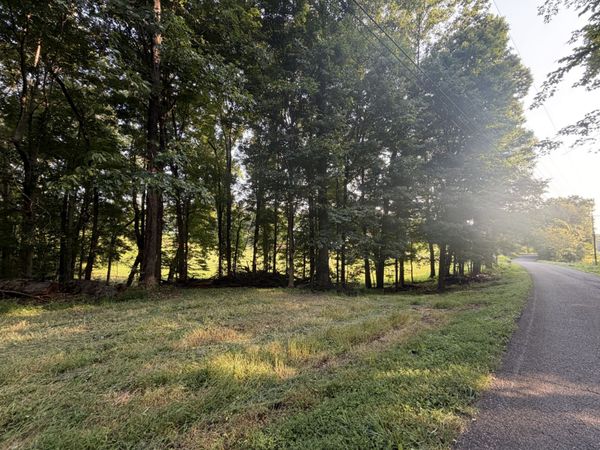 0 Cedar Creek Rd , Vanleer, TN 37181