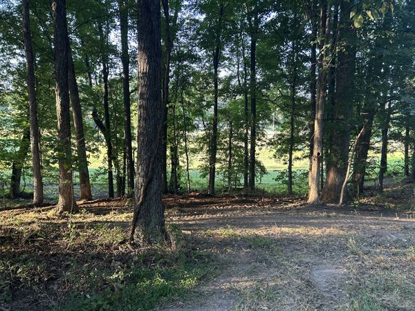 0 Cedar Creek Rd , Vanleer, TN 37181