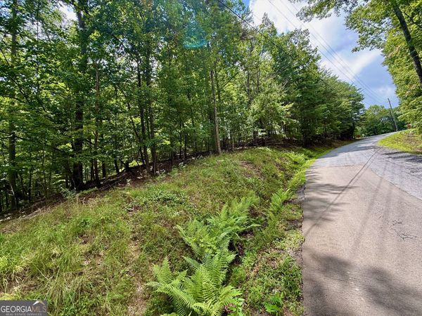 LOT 7 Stirratt Road, Ranger, GA 30734