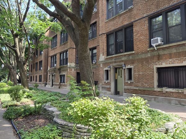 1309 W Farwell Avenue W, Unit 3, Chicago, IL 60626