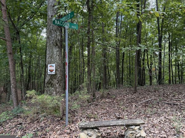 LOT 1065 Mayfield Lane, Ranger, GA 30734