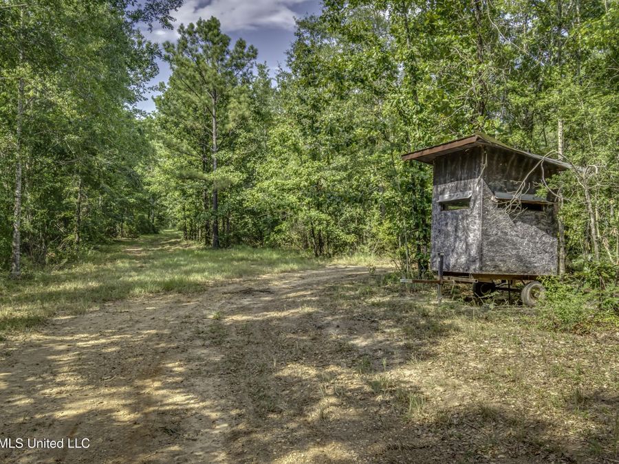 Property Image 40