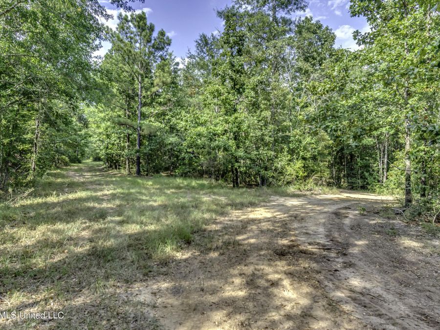 Property Image 50
