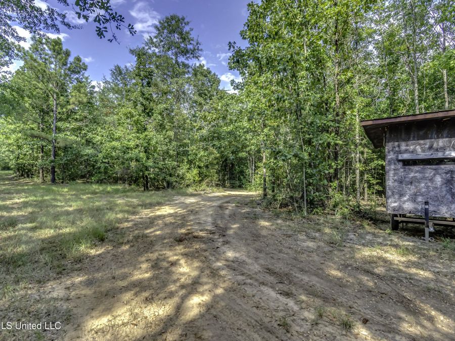 Property Image 51