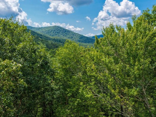 Lot 3 Clay's Way, Fannin, GA 30522