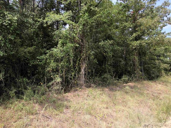 000 AR 95 Highway , Hattieville, AR 72063