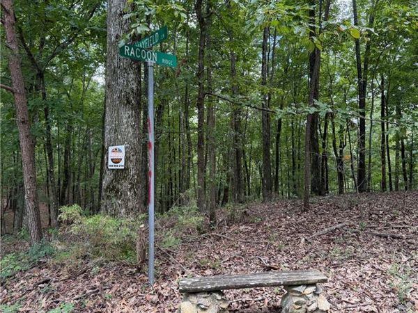 LOT 10 Mayfield Lane , Ranger, GA 30734