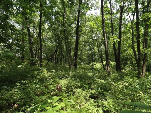 36 E 1200th Road, Baldwin City, KS 66006