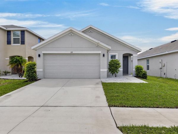 579 OLIVE CONCH STREET , RUSKIN, FL 33570