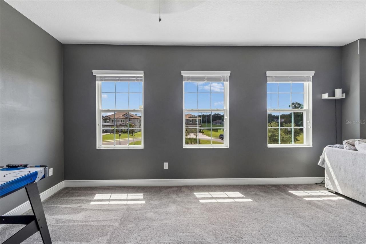 10597 Meadowrun Drive, Lithia, FL 33547 Photo