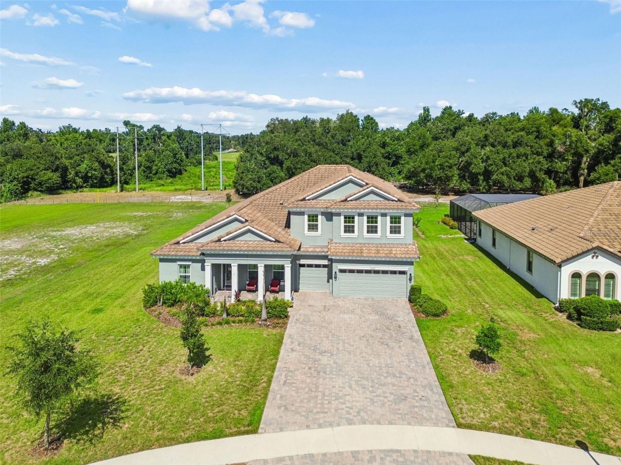 10597 Meadowrun Drive, Lithia, FL 33547 Photo