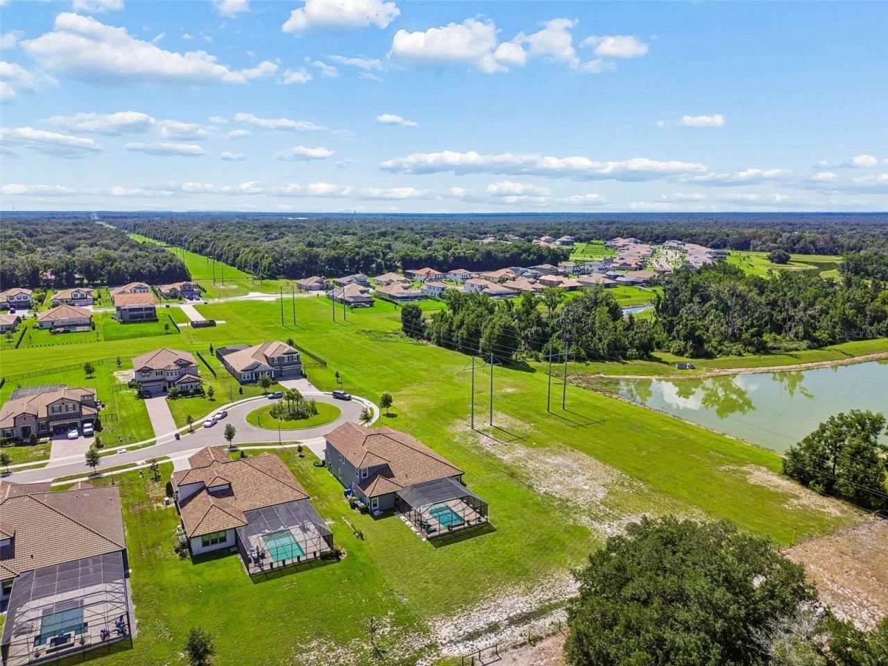 10597 Meadowrun Drive, Lithia, FL 33547 Photo