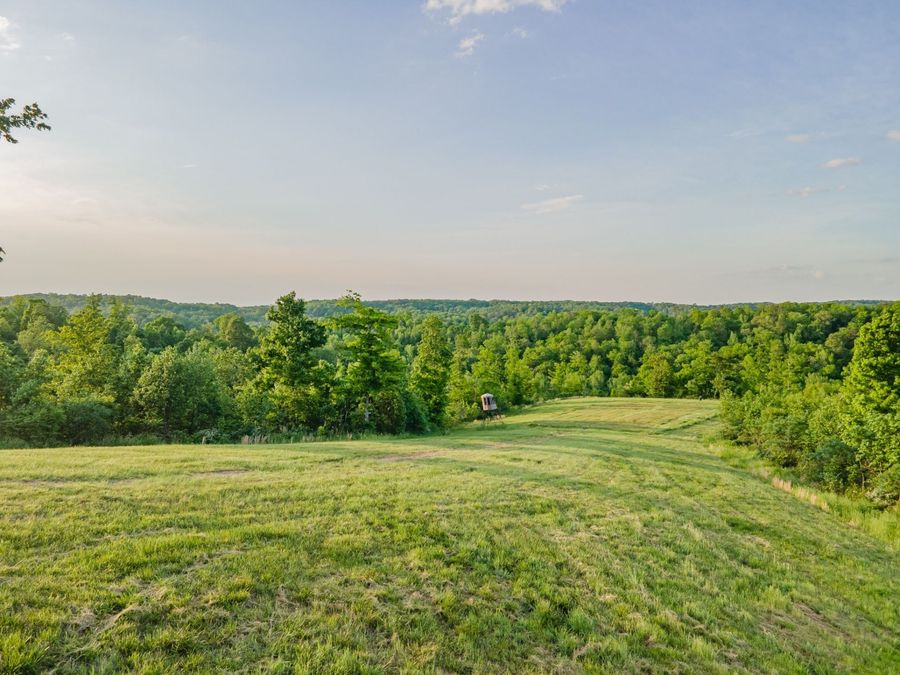 Property Image 61