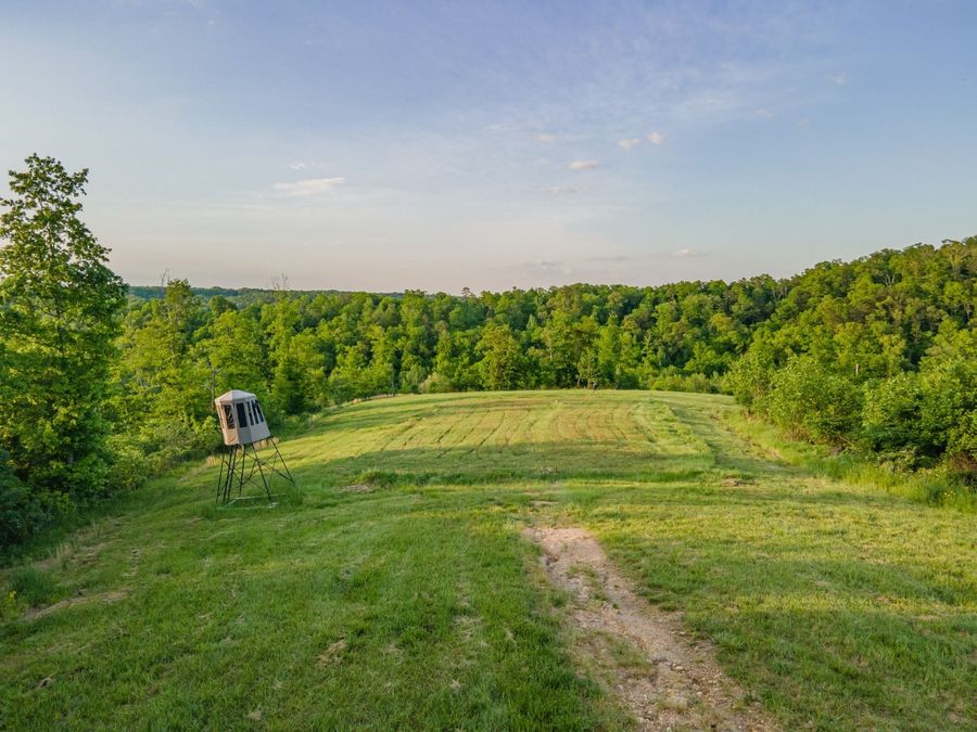 Property Image 63