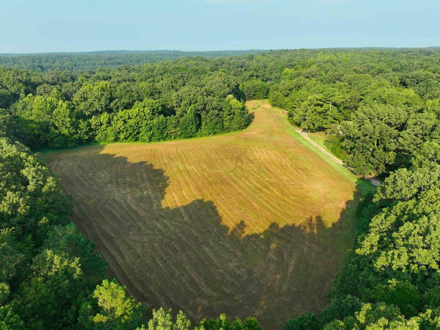 Property Image 19