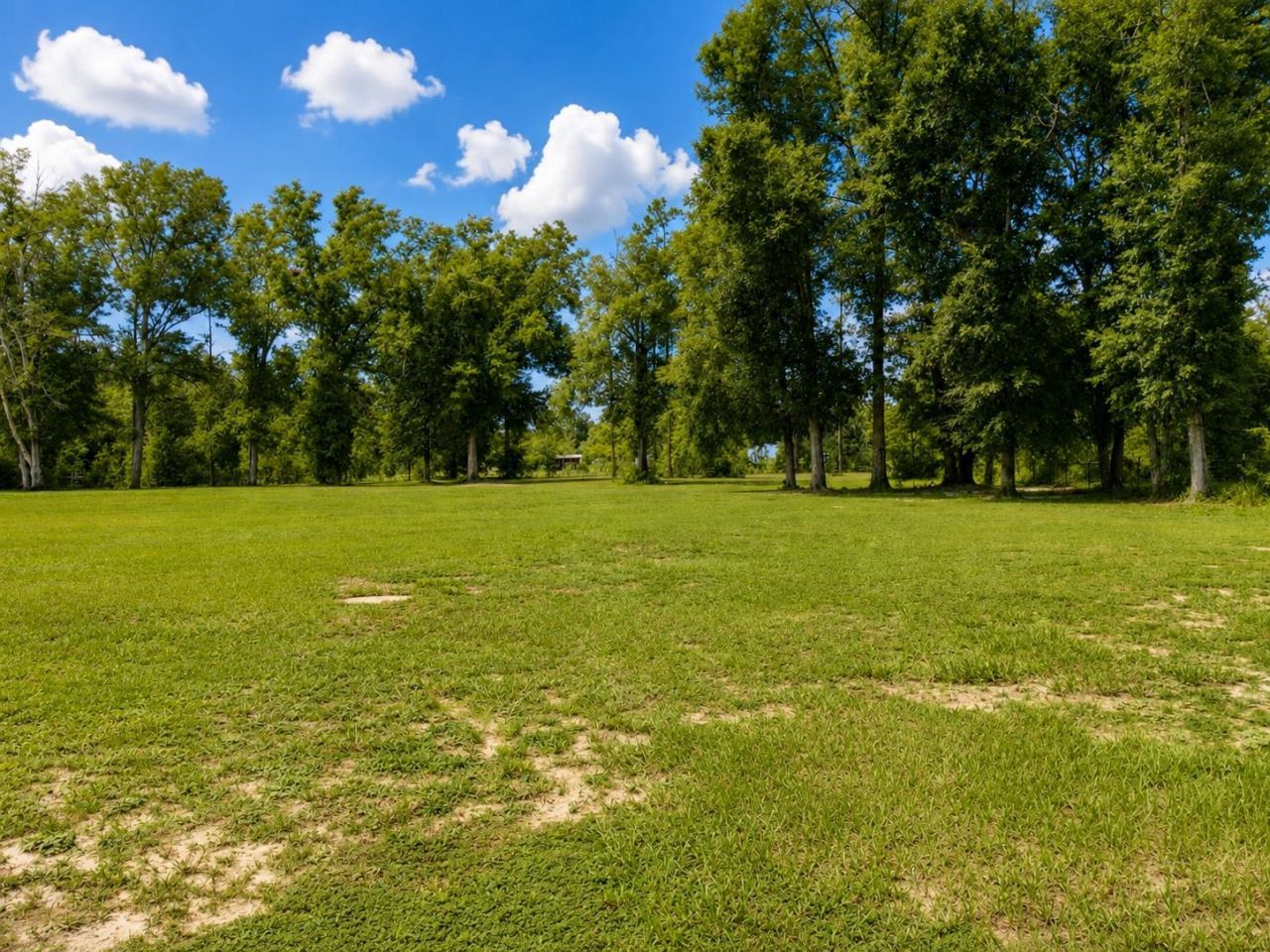 616 NE Hillside Terrace, Lee, FL 32059 Photo